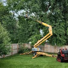 Best Leaf Removal  in Willow Street, PA